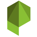 Practicle logo